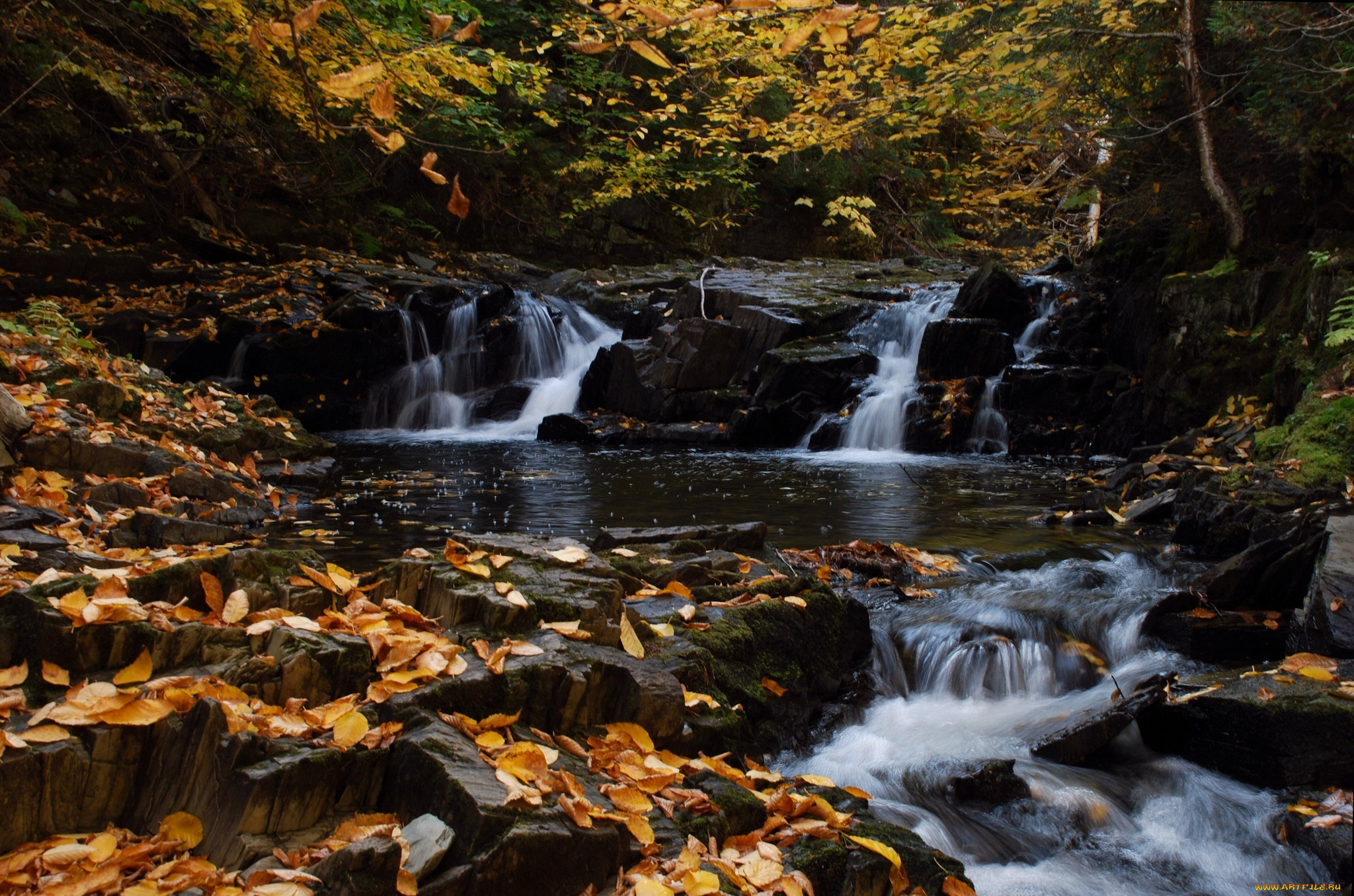 nigadoo, river, canada, , , , , , , , 